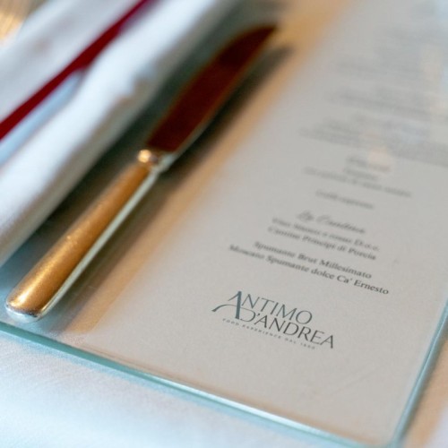 MODELLO ANTIMO D'ANDREA: guida al catering per aziende
